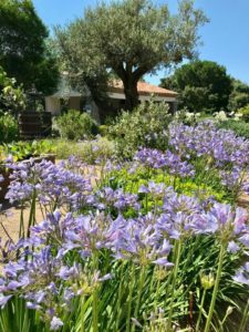 Création de jardin à la croix valmer