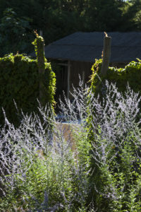 Création jardin mediterranéen Gassin