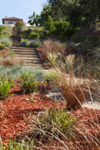 Aménagement jardin à Gassin